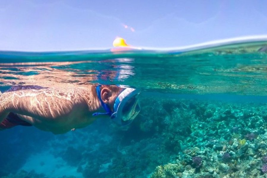 Abu Dabab Turtles bay